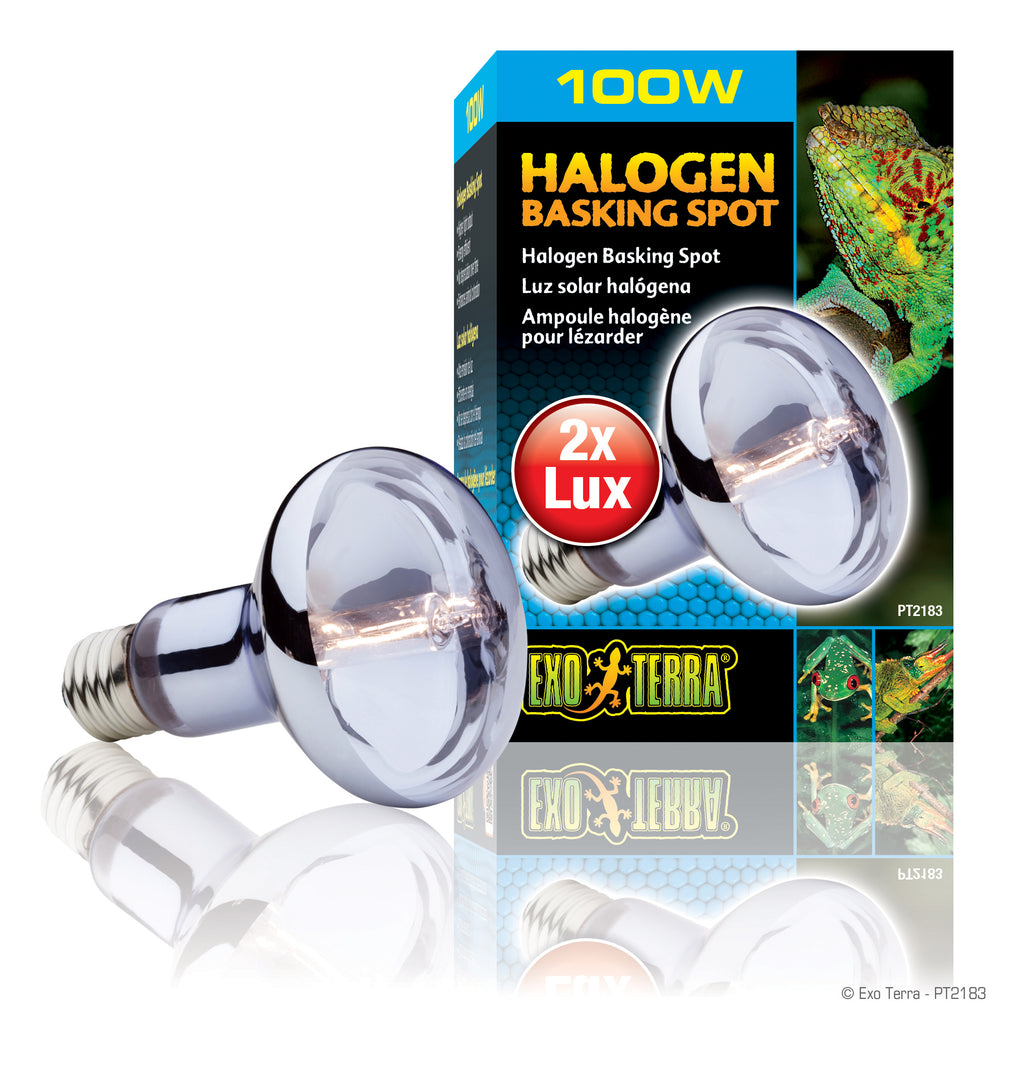 EXO TERRA Ampoule Halogène 100W pour Reptiles