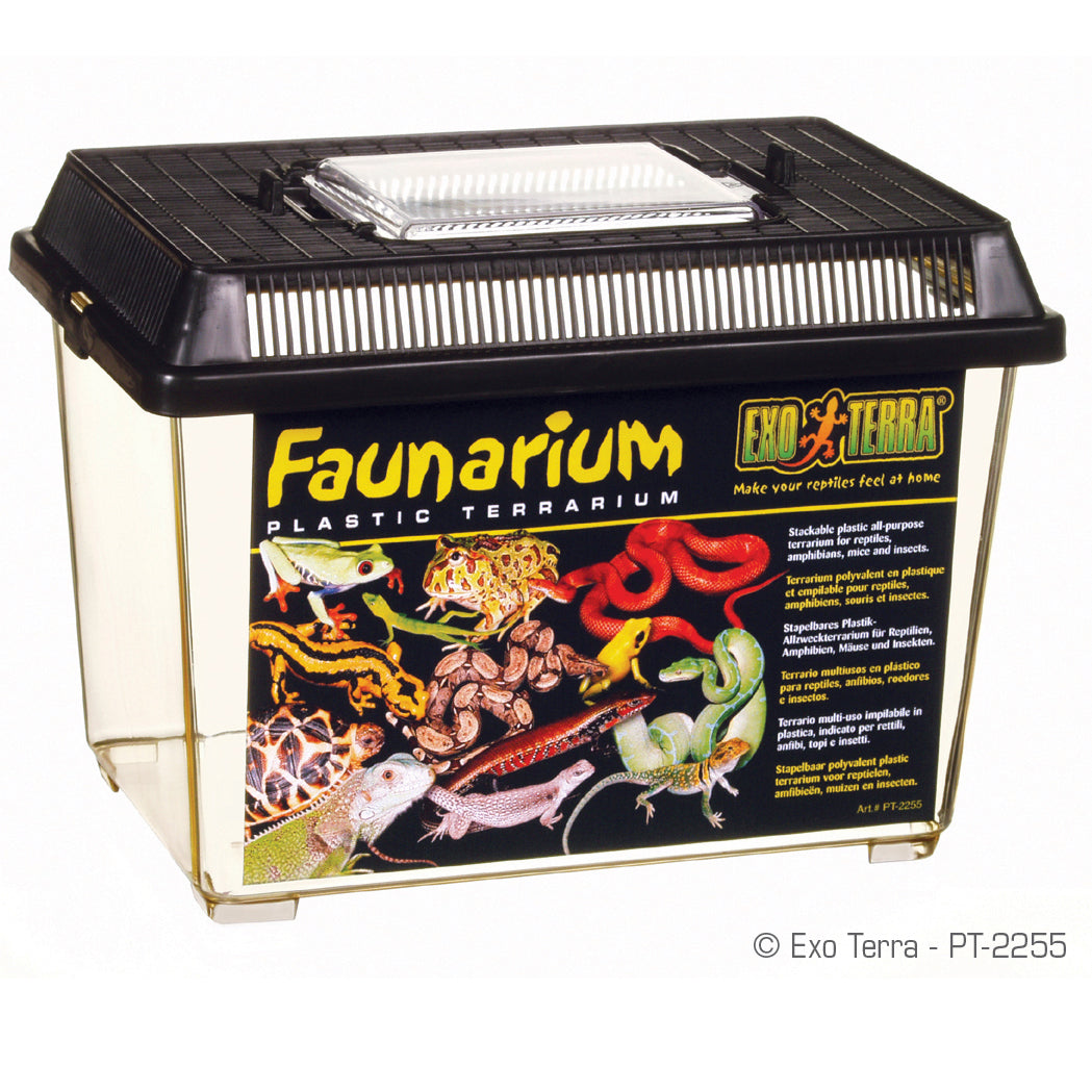 EXO TERRA Faunarium en Plastique S pour Reptiles