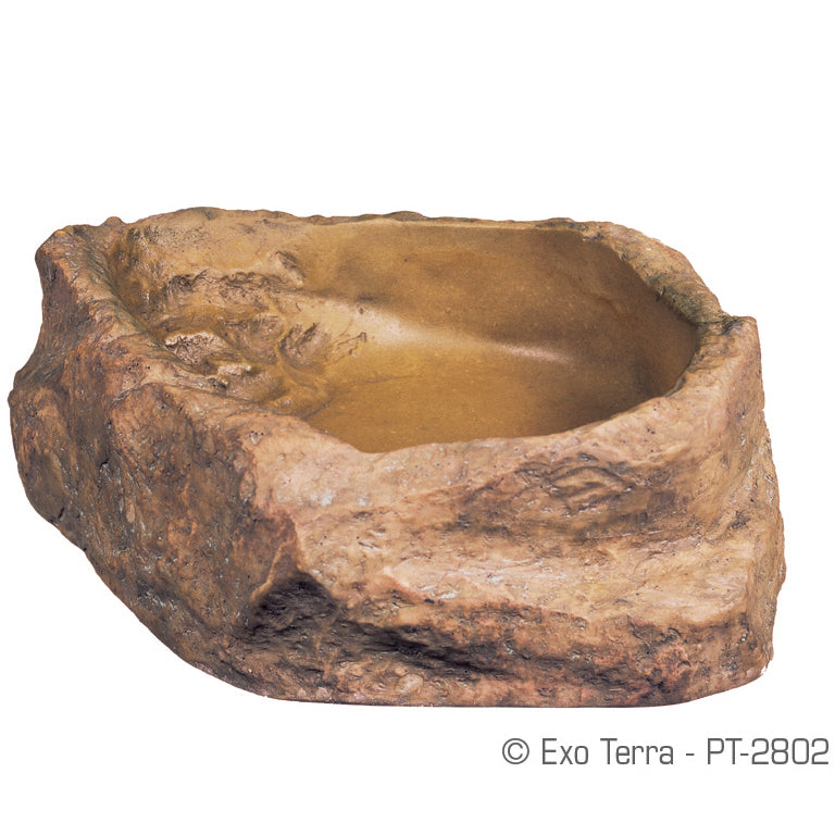 EXO TERRA Bol à Eau M pour Reptiles