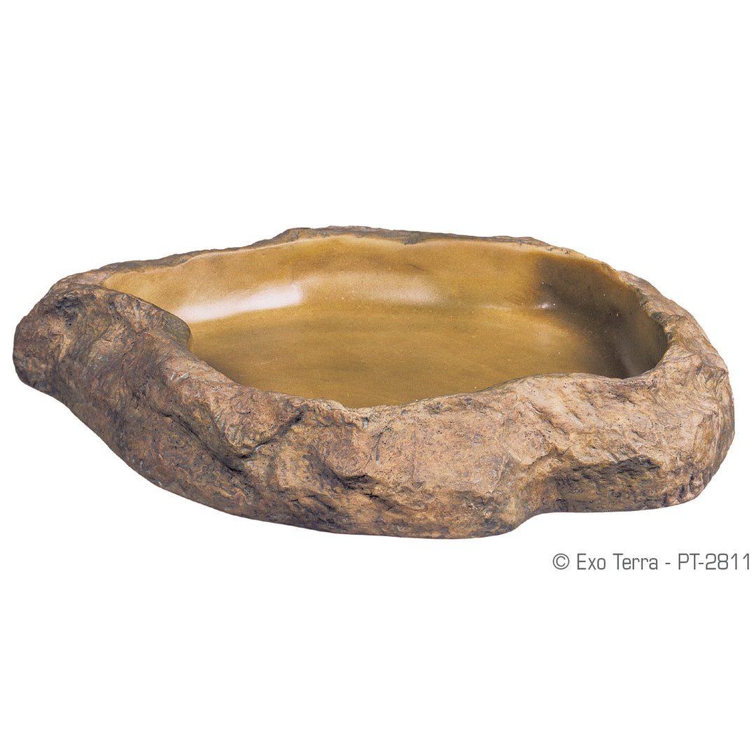 EXO TERRA Bol à Nourriture S pour Reptiles