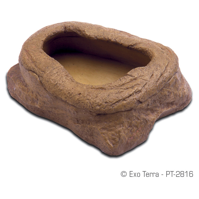 EXO TERRA Distributeur de Petits Vers de Farine M pour Reptiles