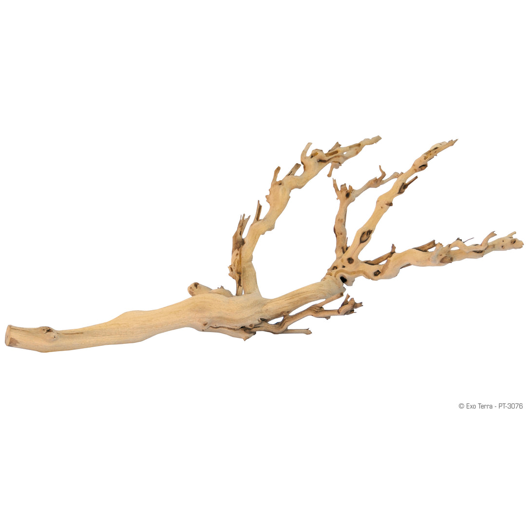 EXO TERRA Branche de Vigne Sablée M pour Reptiles