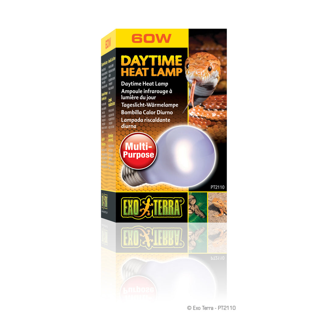 EXO TERRA Ampoule 60W Infrarouge A19 pour Reptiles