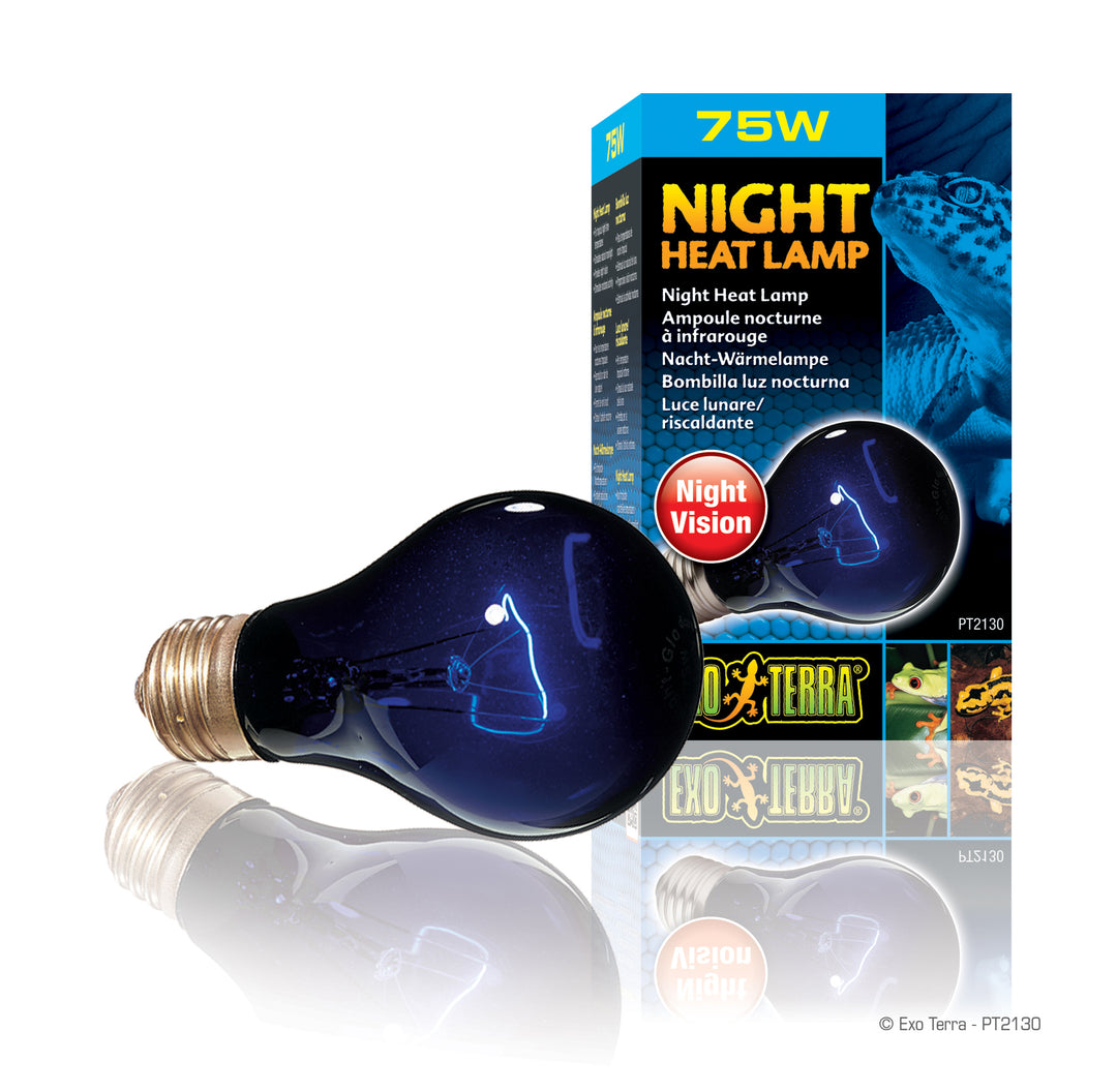 EXO TERRA Ampoule Nocturne 75W Infrarouge A19 pour Reptiles