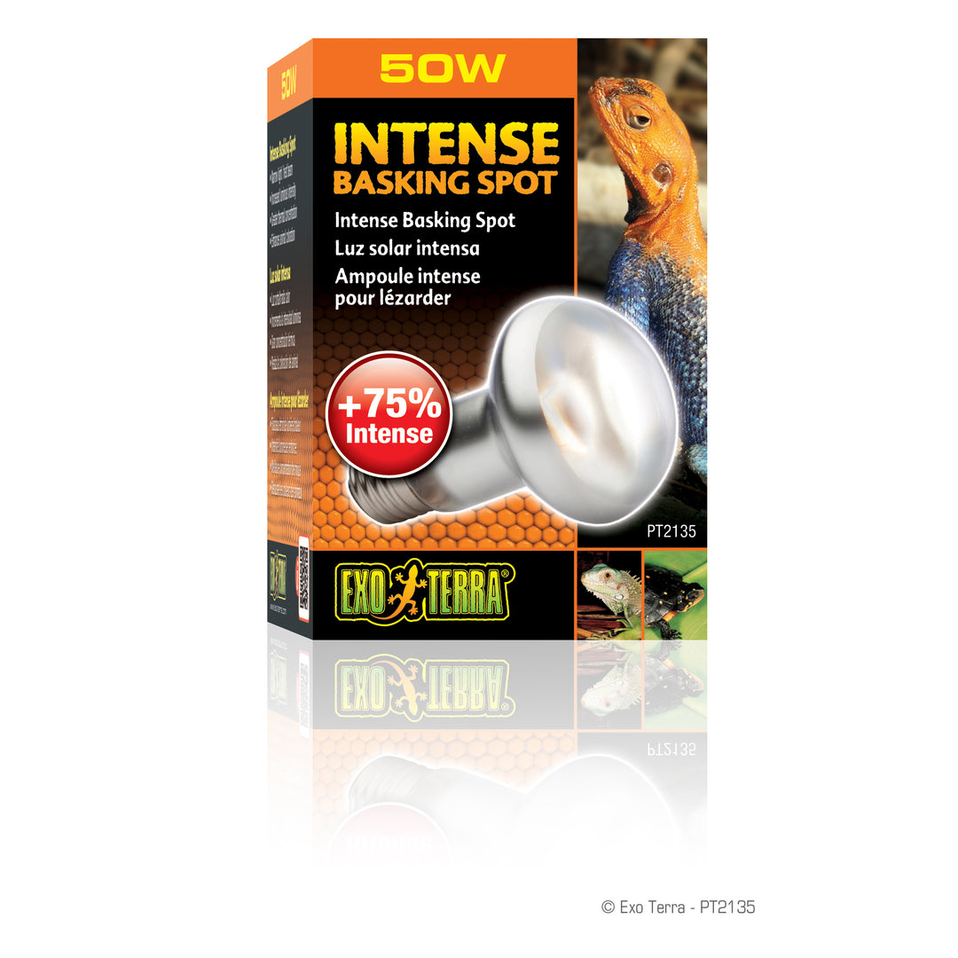 EXO TERRA Ampoule Intense 50W S20 pour Reptiles