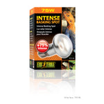 Voir l’image dans la galerie, EXO TERRA Ampoule Intense 75W S20 pour Reptiles
