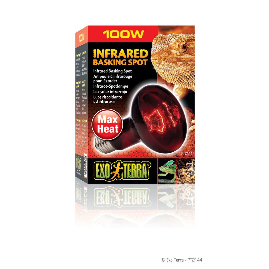 EXO TERRA Ampoule 100W Infrarouge R25 pour Reptiles