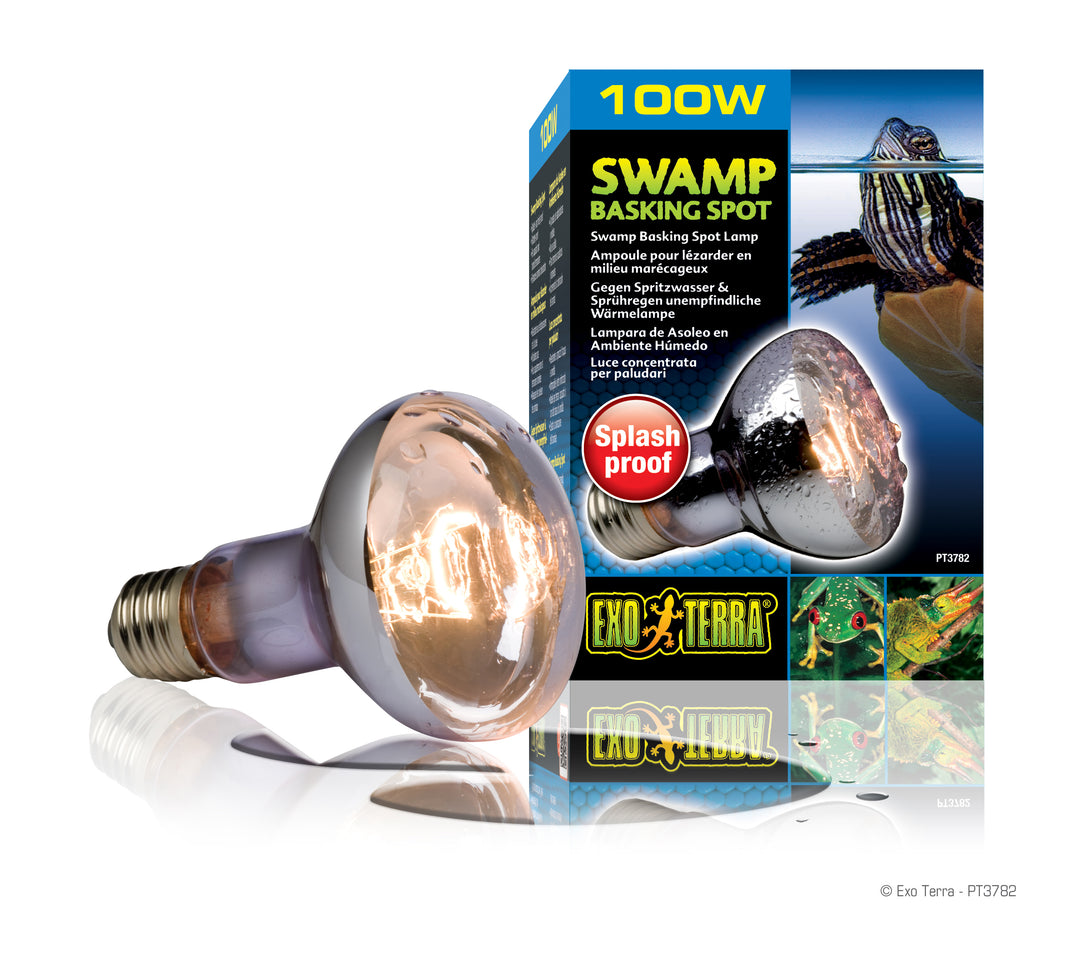 EXO TERRA Ampoule 100W pour Lézarder R25 pour Reptiles