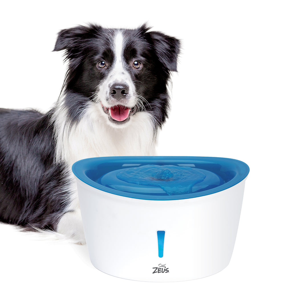 ZEUS Abreuvoir Cascade 6L