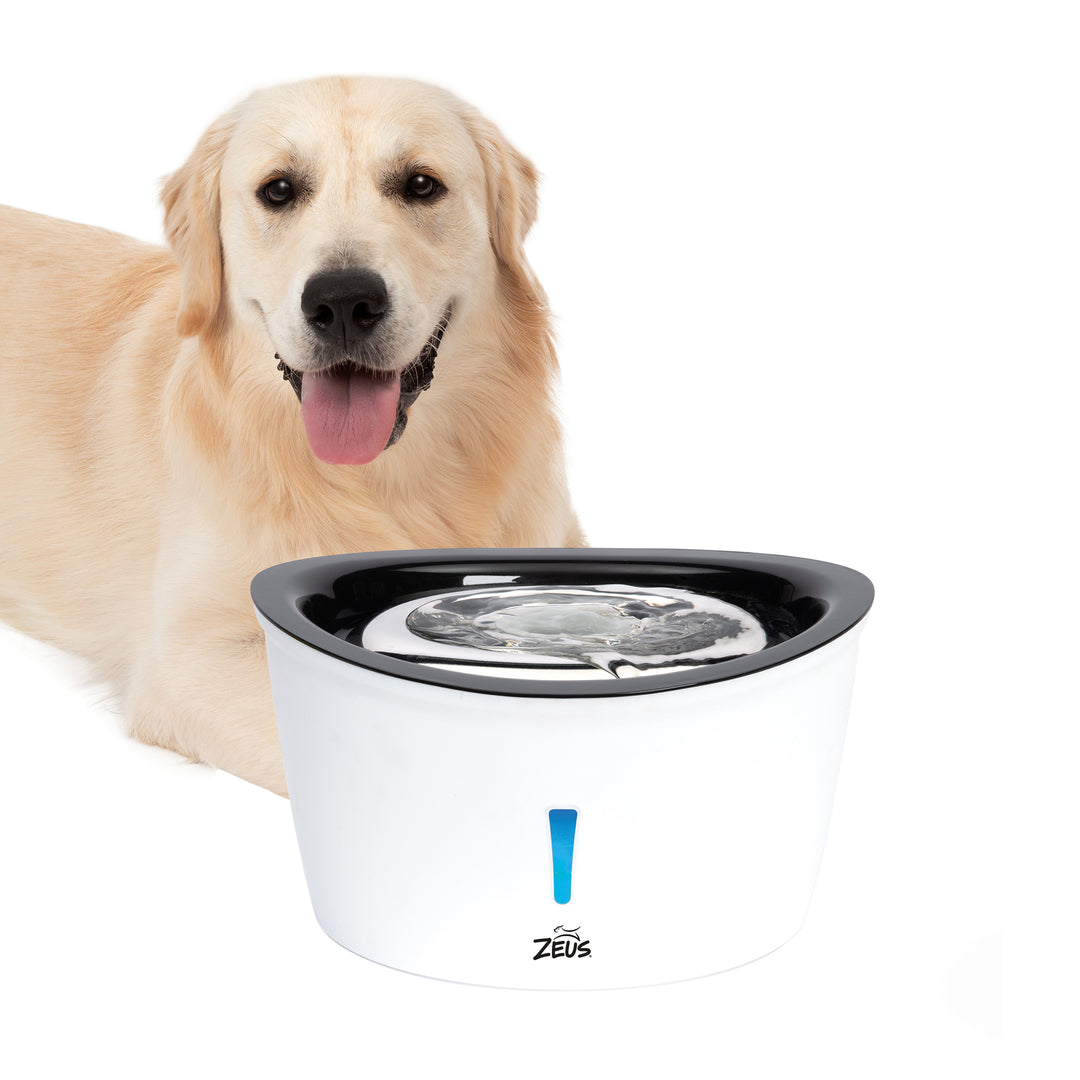 ZEUS Abreuvoir Cascade avec Dessus Inox 6L