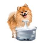Voir l’image dans la galerie, ZEUS Fresh &amp; Clear Abreuvoir avec Bec 1.5L
