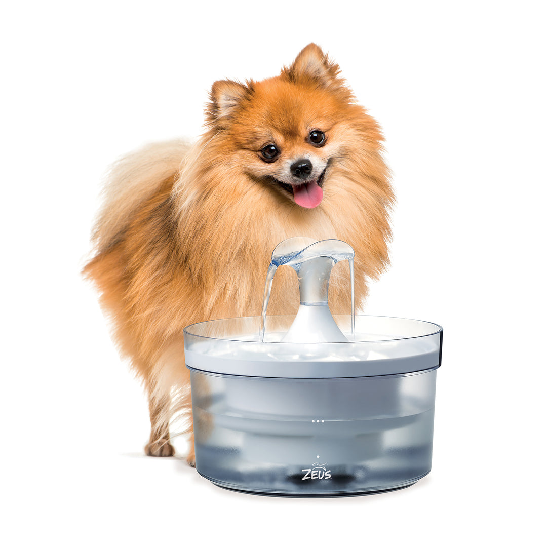 ZEUS Fresh & Clear Abreuvoir avec Bec 1.5L