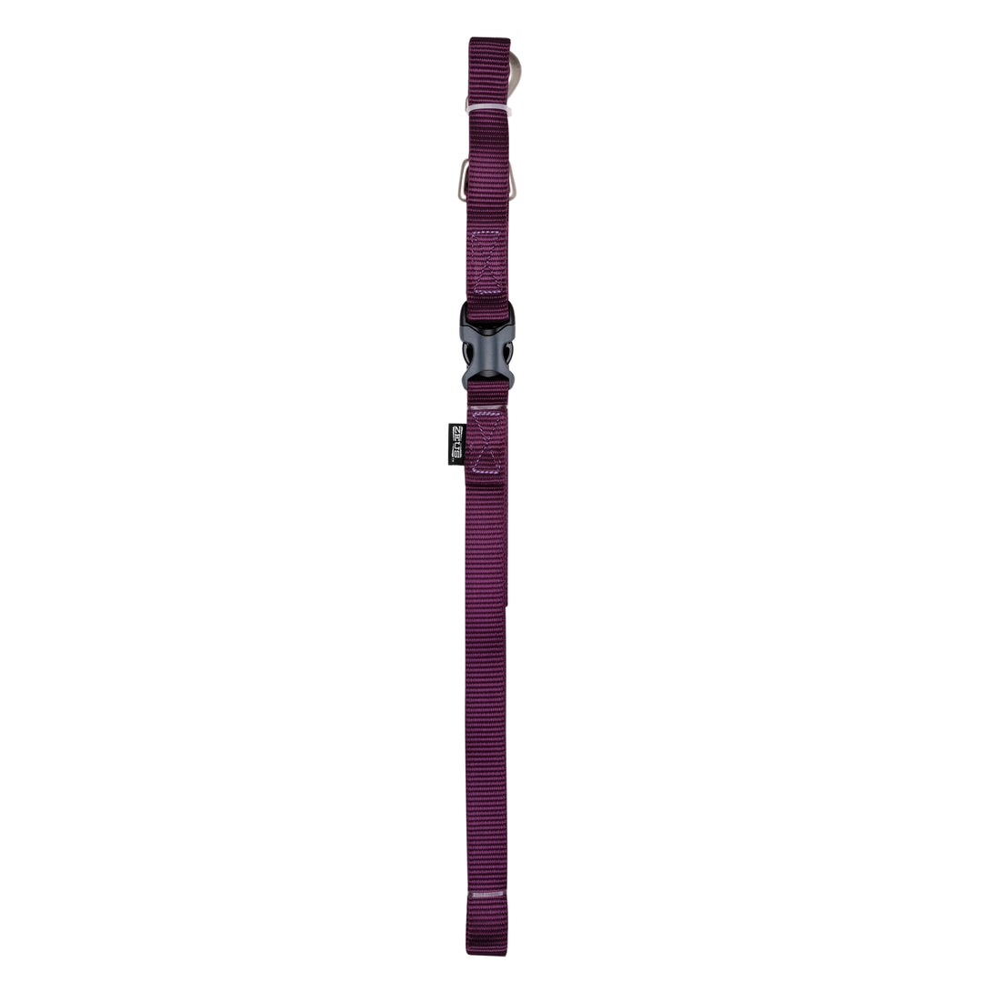 ZEUS Laisse Nylon L 3/4x72" Aubergine