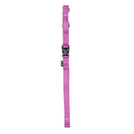 Voir l’image dans la galerie, ZEUS Laisse Nylon L 3/4x72&quot; Fuchsia
