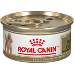 Voir l’image dans la galerie, ROYAL CANIN Chien Caniche, Pâté en Sauce 85g
