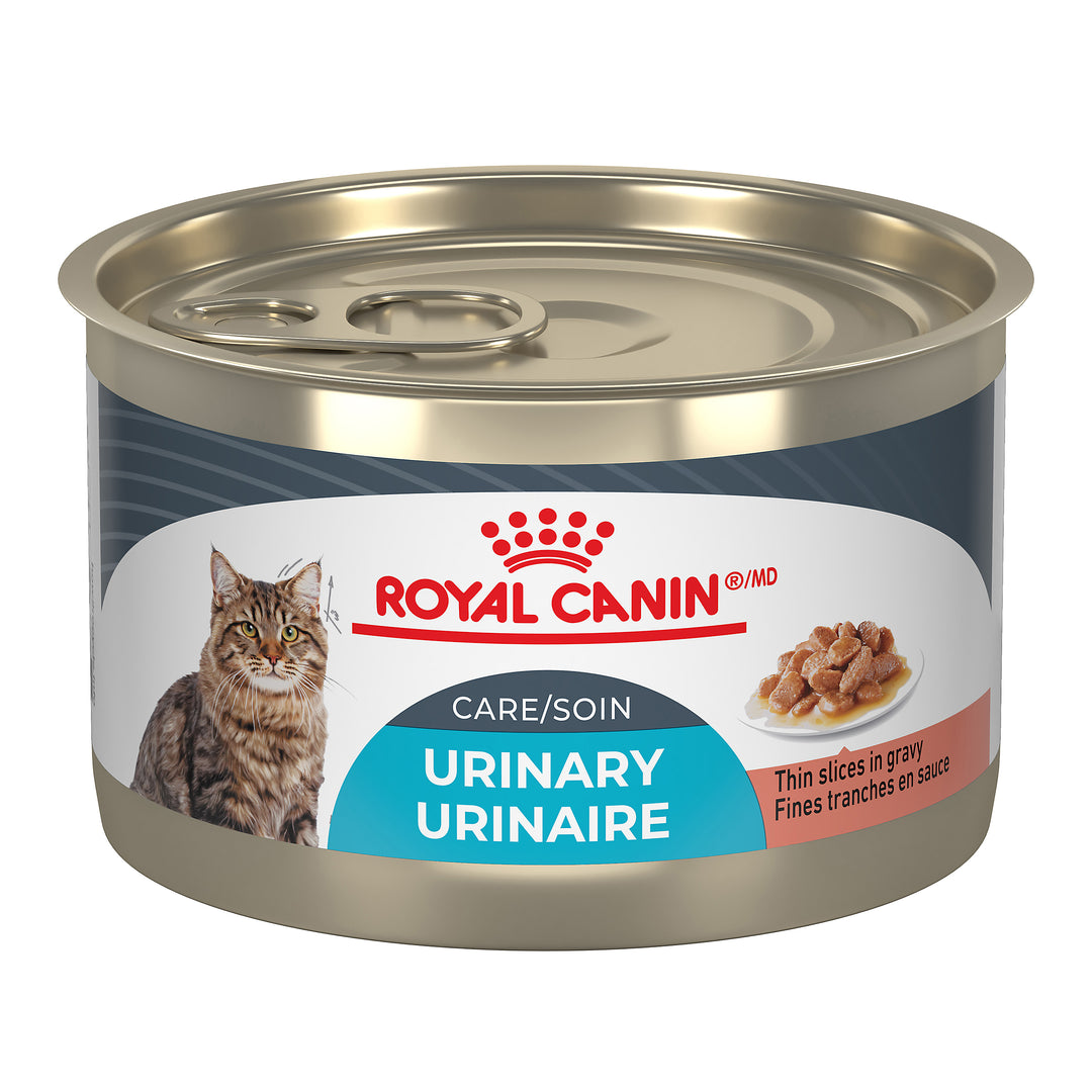 ROYAL CANIN Chat Soin Urinaire, Tranche en Sauce 145g